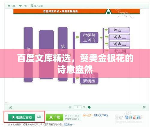 百度文庫精選，贊美金銀花的詩意盎然