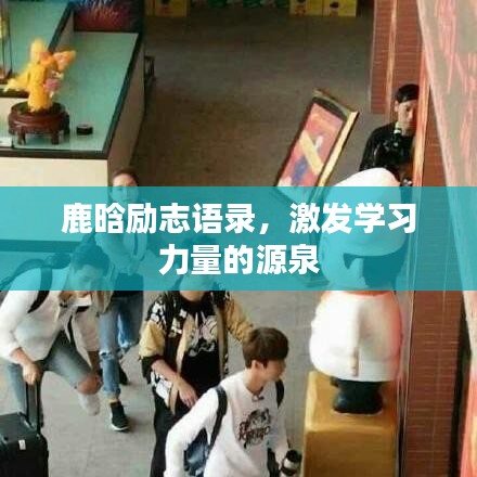 鹿晗勵志語錄，激發(fā)學(xué)習(xí)力量的源泉