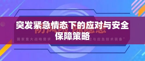 突發(fā)緊急情態(tài)下的應(yīng)對與安全保障策略