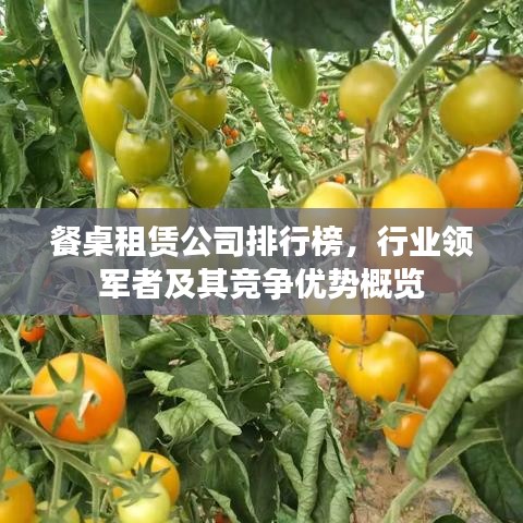 餐桌租賃公司排行榜，行業(yè)領(lǐng)軍者及其競(jìng)爭(zhēng)優(yōu)勢(shì)概覽