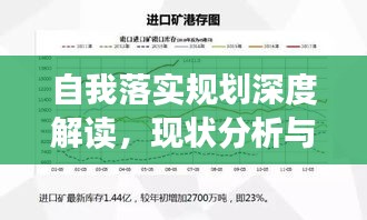 自我落實規(guī)劃深度解讀，現(xiàn)狀分析與未來展望