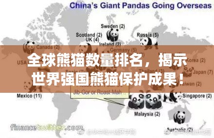 全球熊貓數(shù)量排名，揭示世界強(qiáng)國(guó)熊貓保護(hù)成果！