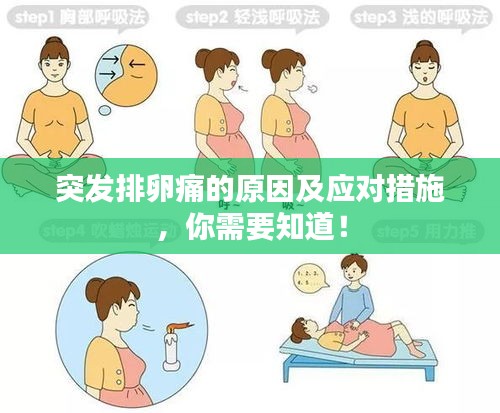 突發(fā)排卵痛的原因及應對措施，你需要知道！