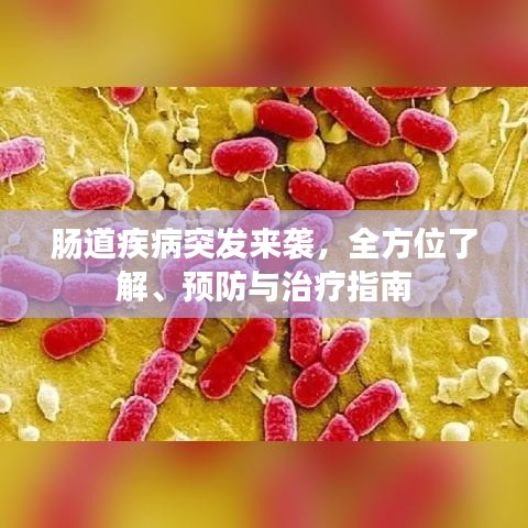 腸道疾病突發(fā)來(lái)襲，全方位了解、預(yù)防與治療指南