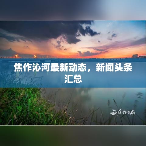 焦作沁河最新動(dòng)態(tài)，新聞?lì)^條匯總