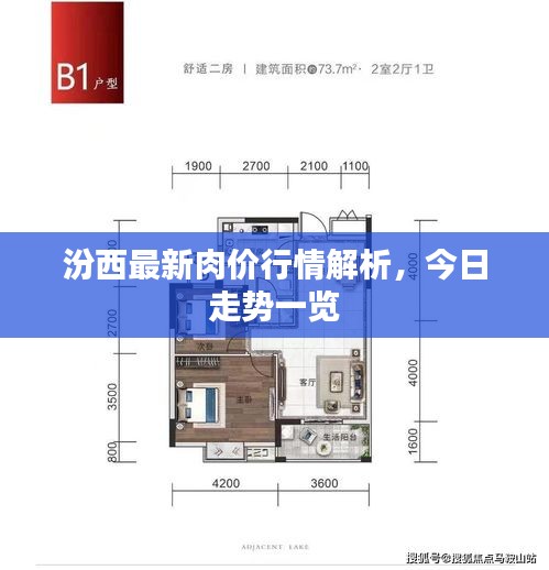 汾西最新肉價(jià)行情解析，今日走勢一覽