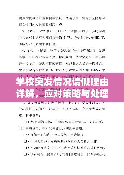 學(xué)校突發(fā)情況請(qǐng)假理由詳解，應(yīng)對(duì)策略與處理之道