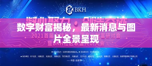 數(shù)字財富揭秘，最新消息與圖片全景呈現(xiàn)