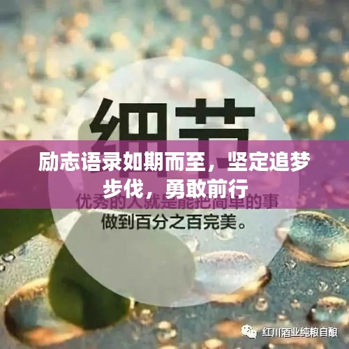 勵志語錄如期而至，堅定追夢步伐，勇敢前行