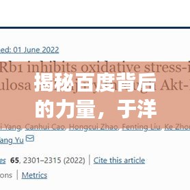 揭秘百度背后的力量，于洋老師展現(xiàn)女性魅力與智慧