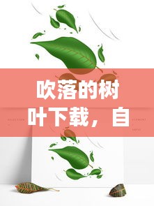 吹落的樹葉下載，自然與音樂的夢幻交融之旅