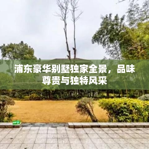 浦東豪華別墅獨(dú)家全景，品味尊貴與獨(dú)特風(fēng)采