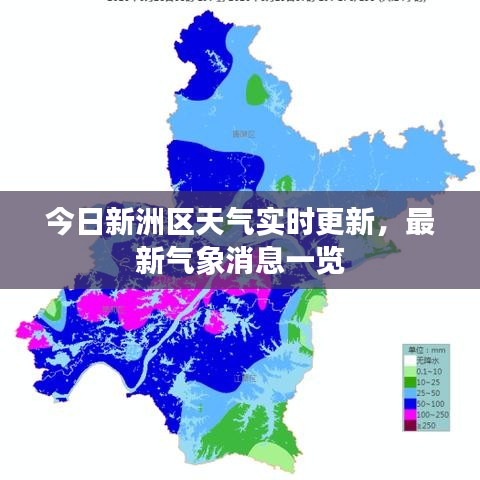 今日新洲區(qū)天氣實(shí)時(shí)更新，最新氣象消息一覽