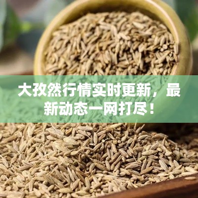 大孜然行情實(shí)時(shí)更新，最新動(dòng)態(tài)一網(wǎng)打盡！