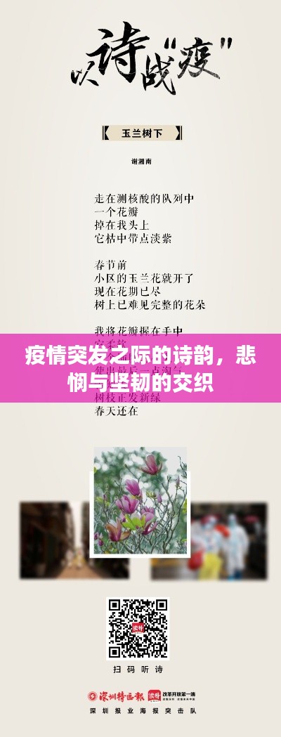 疫情突發(fā)之際的詩韻，悲憫與堅韌的交織
