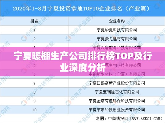 寧夏暖棚生產(chǎn)公司排行榜TOP及行業(yè)深度分析