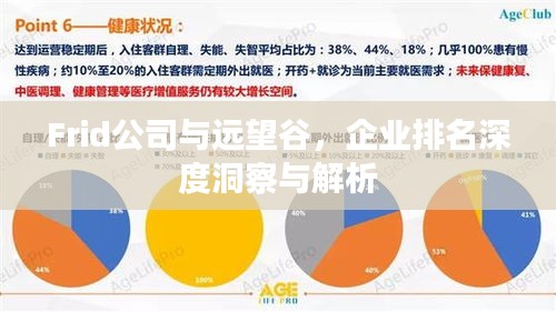 Frid公司與遠望谷，企業(yè)排名深度洞察與解析