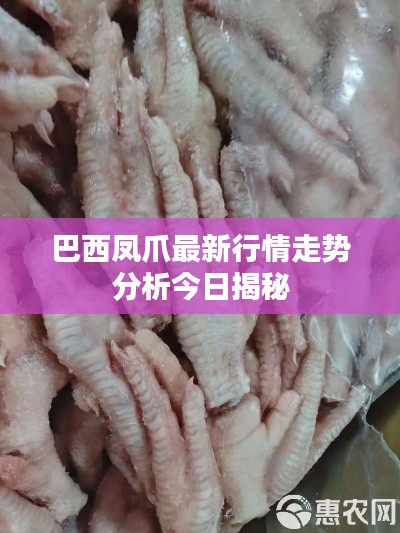 巴西鳳爪最新行情走勢(shì)分析今日揭秘