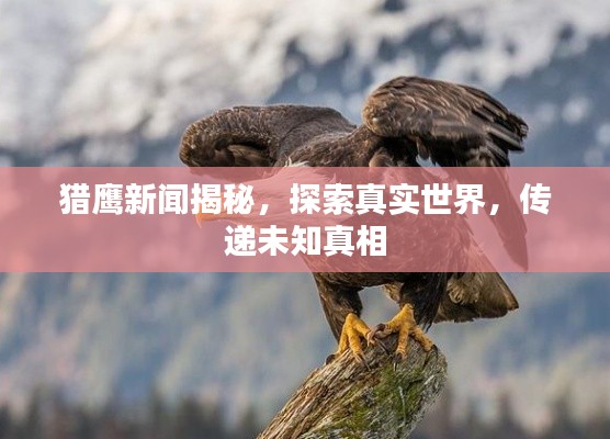 獵鷹新聞揭秘，探索真實世界，傳遞未知真相