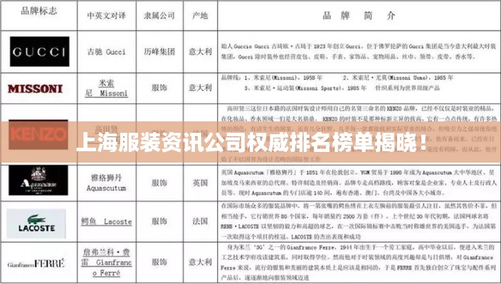 上海服裝資訊公司權(quán)威排名榜單揭曉！