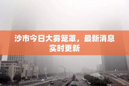 沙市今日大霧籠罩，最新消息實(shí)時(shí)更新