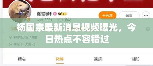 楊國宗最新消息視頻曝光，今日熱點不容錯過