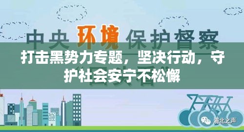 打擊黑勢力專題，堅決行動，守護(hù)社會安寧不松懈