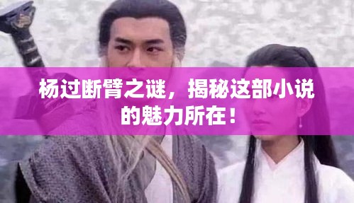 楊過斷臂之謎，揭秘這部小說的魅力所在！