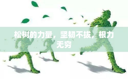 松樹的力量，堅(jiān)韌不拔，根力無窮