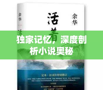 獨(dú)家記憶，深度剖析小說(shuō)奧秘