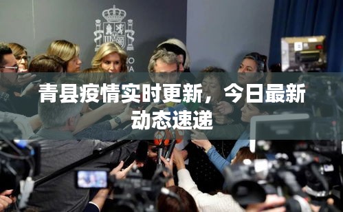 青縣疫情實時更新，今日最新動態(tài)速遞