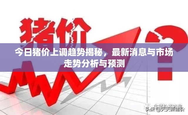 今日豬價(jià)上調(diào)趨勢(shì)揭秘，最新消息與市場(chǎng)走勢(shì)分析與預(yù)測(cè)