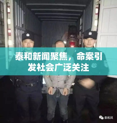 泰和新聞聚焦，命案引發(fā)社會廣泛關(guān)注