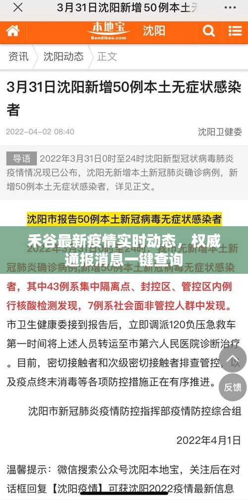 禾谷最新疫情實時動態(tài)，權(quán)威通報消息一鍵查詢