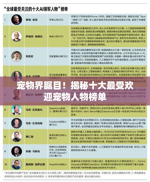 寵物界矚目！揭秘十大最受歡迎寵物人物榜單