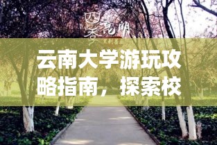 云南大學(xué)游玩攻略指南，探索校園美景，體驗(yàn)云南風(fēng)情