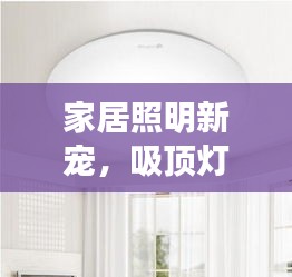家居照明新寵，吸頂燈，你的首選！百度帶你探索更多選擇！