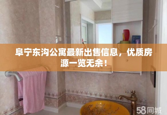 阜寧東溝公寓最新出售信息，優(yōu)質(zhì)房源一覽無余！