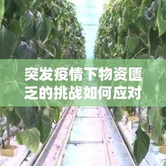 突發(fā)疫情下物資匱乏的挑戰(zhàn)如何應(yīng)對？