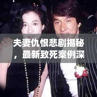 夫妻仇恨悲劇揭秘，最新致死案例深度剖析