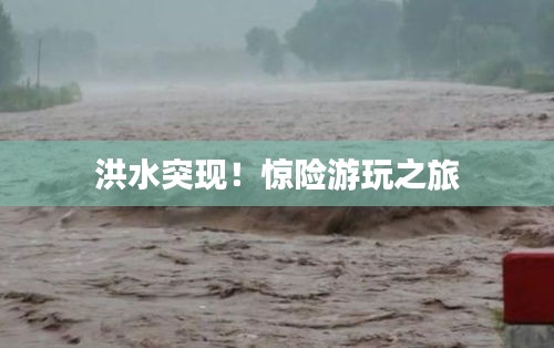 洪水突現(xiàn)！驚險(xiǎn)游玩之旅