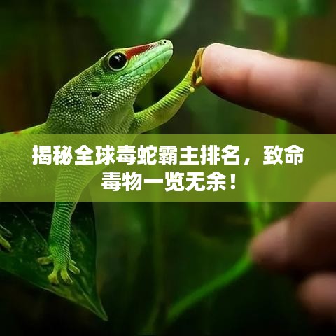 揭秘全球毒蛇霸主排名，致命毒物一覽無(wú)余！
