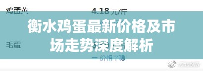 衡水雞蛋最新價(jià)格及市場走勢深度解析