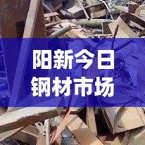 陽新今日鋼材市場行情解析，最新價格動態(tài)一網(wǎng)打盡！