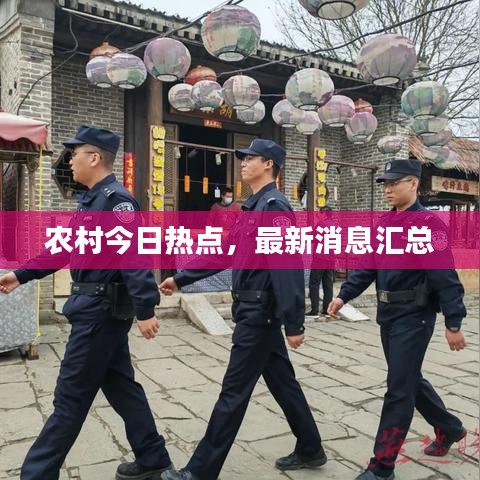 農(nóng)村今日熱點，最新消息匯總