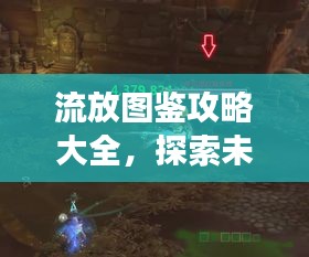 流放圖鑒攻略大全，探索未知領(lǐng)域，最新版攻略助你暢游游戲世界！