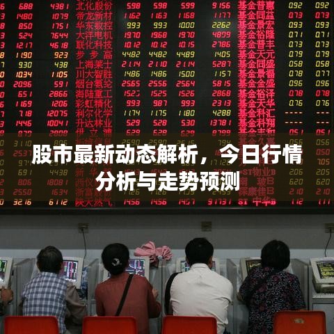 股市最新動態(tài)解析，今日行情分析與走勢預(yù)測