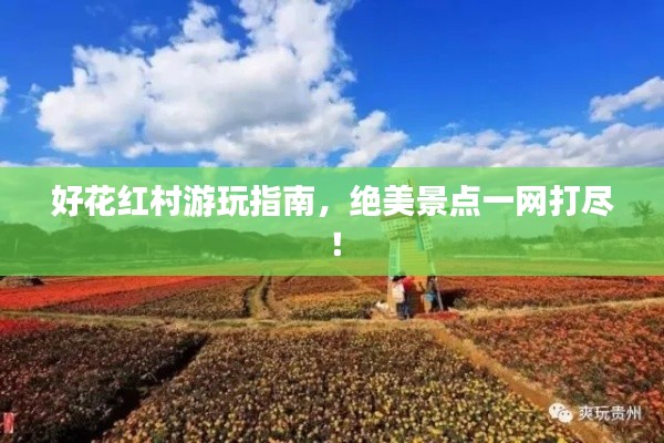好花紅村游玩指南，絕美景點(diǎn)一網(wǎng)打盡！