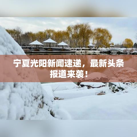 寧夏光陽新聞速遞，最新頭條報(bào)道來襲！