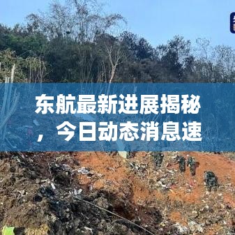 東航最新進展揭秘，今日動態(tài)消息速遞